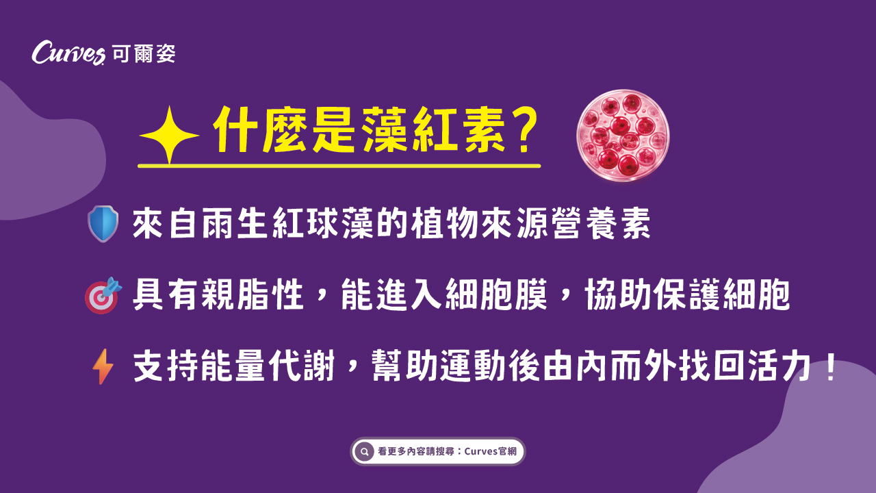 202609｜運動後恢復慢？你可能少了抗氧化隊友_電視牆_02