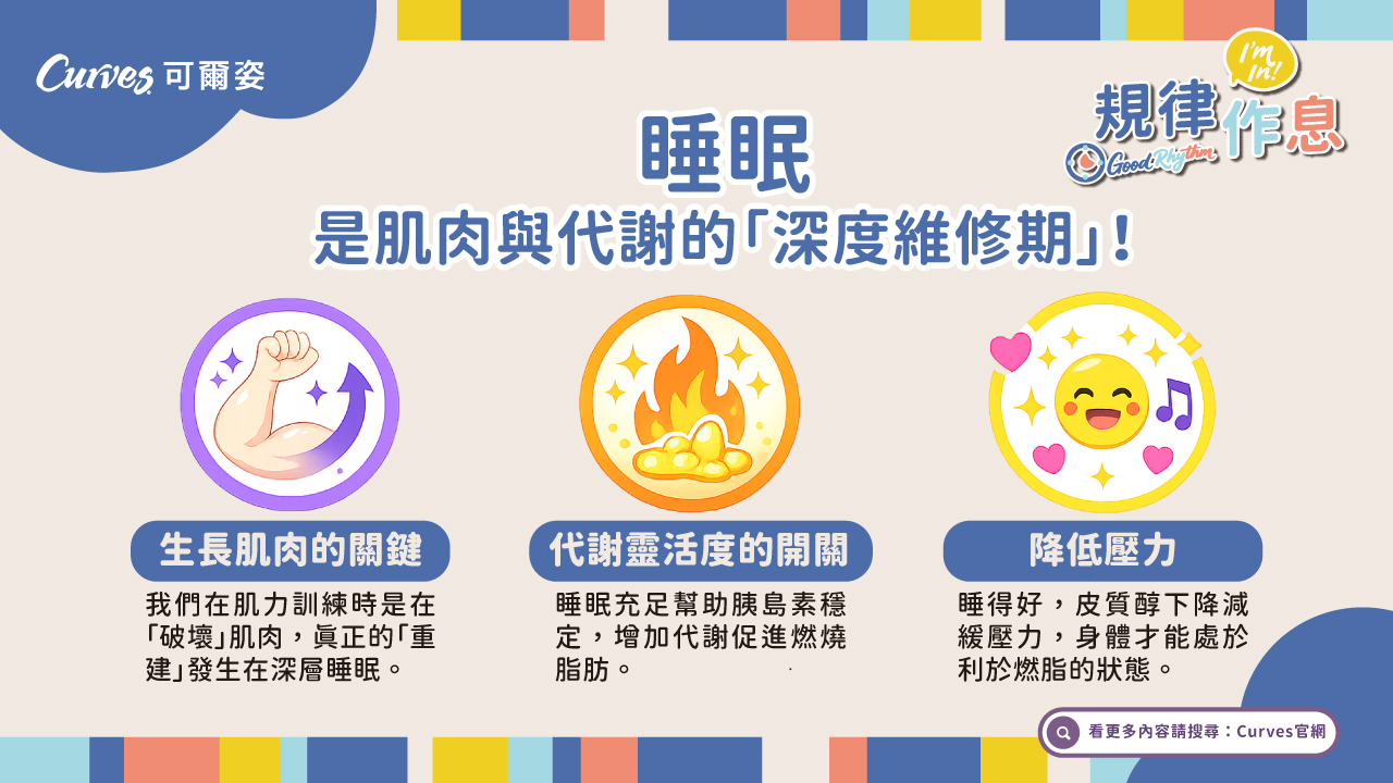 202607|規律作息|睡眠,是肌肉與代謝的「深度維修期」_電視牆