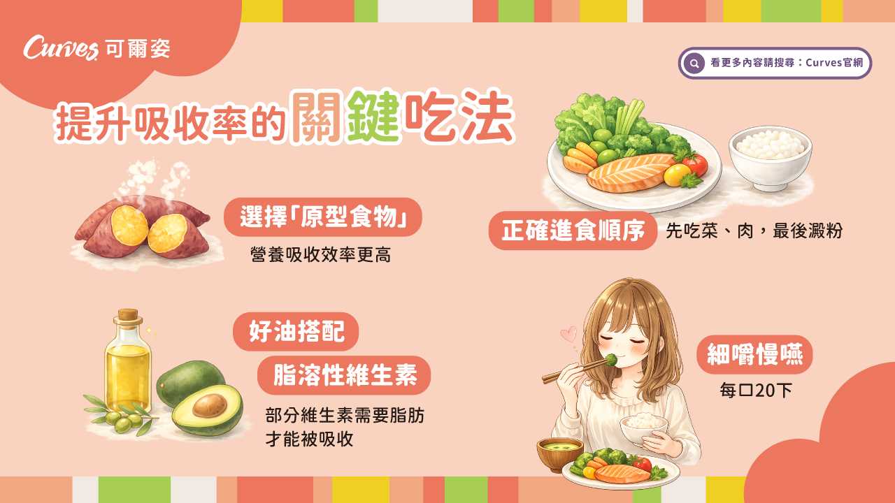 202604|均衡飲食|到底怎麼營養吃?對身體的化學變化_電視牆